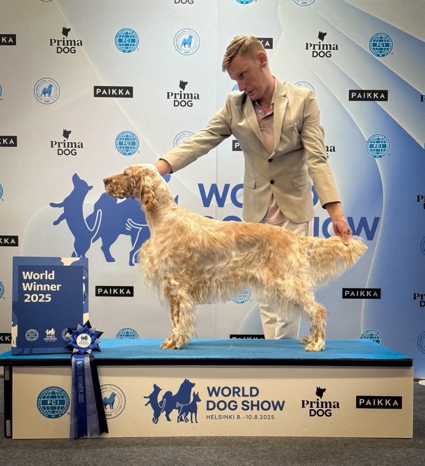 531811296 1150094007144477 2648946549704970104 n